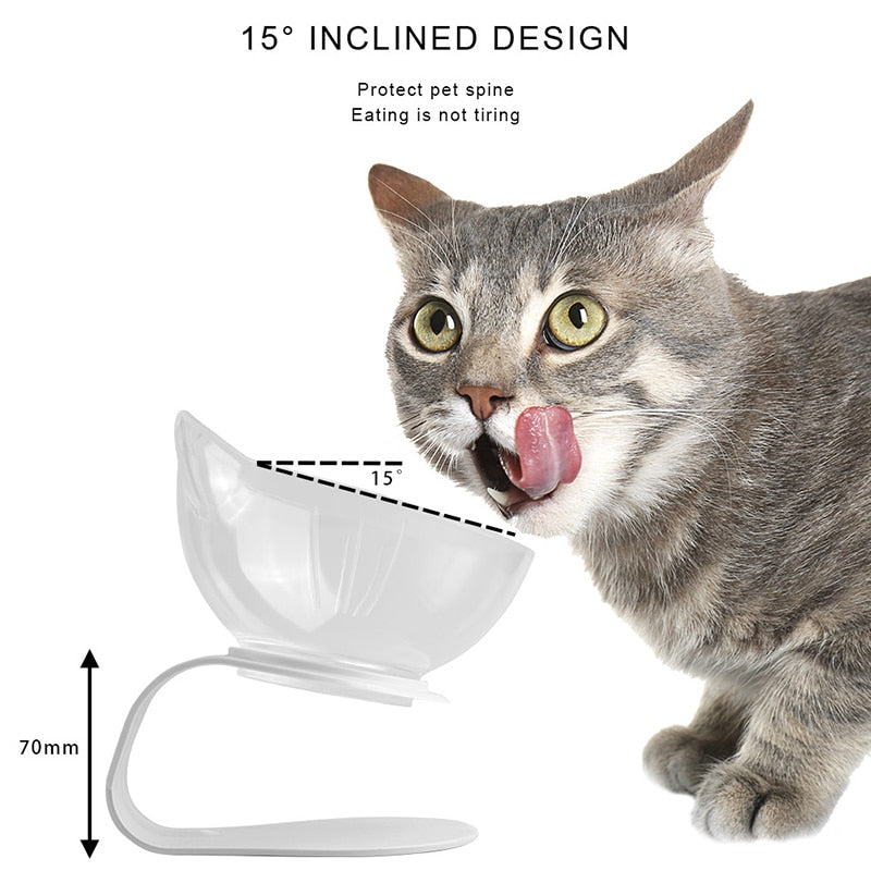 Pet Double Cat Bowl With Raised Stand.