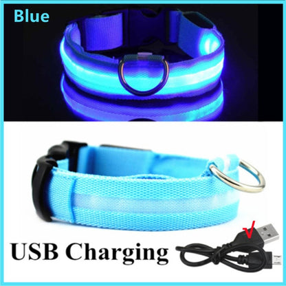Glowing Dog Collar. night time safety..