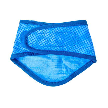 ICE BAND - Dog Cooling Bandana | Beat the Heat with Style