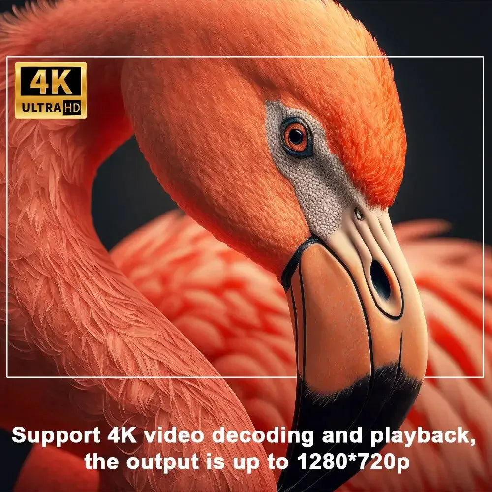 4K video decoding demo showing a flamingo photo with 4K Ultra HD text overlay