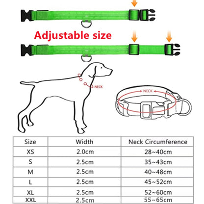 Glowing Dog Collar. night time safety..