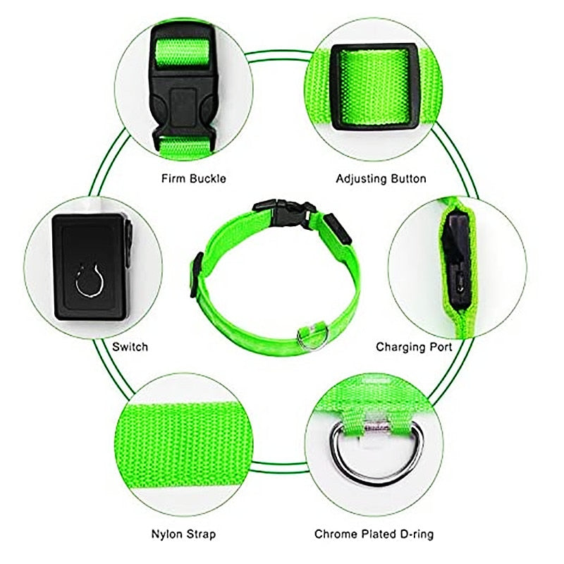 Glowing Dog Collar. night time safety..