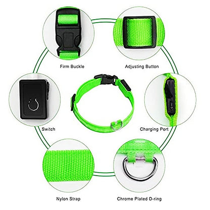 Glowing Dog Collar. night time safety..